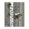 Stupell Industries Birds & Ornaments Birch Tree Forest Canvas Wall Art